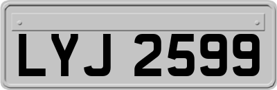 LYJ2599