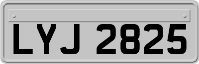 LYJ2825