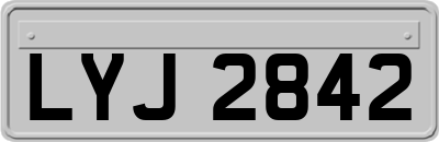 LYJ2842
