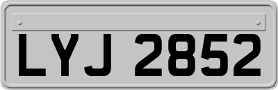 LYJ2852