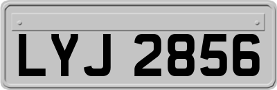 LYJ2856