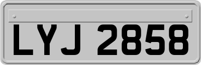 LYJ2858