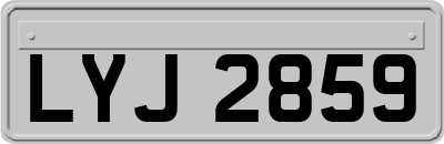 LYJ2859