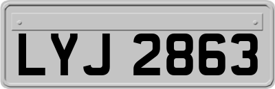 LYJ2863