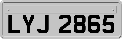 LYJ2865