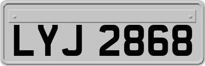 LYJ2868