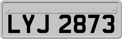 LYJ2873