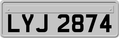 LYJ2874