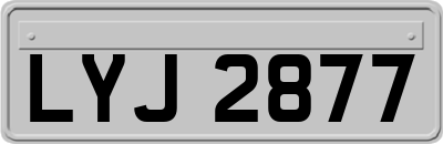 LYJ2877