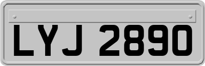 LYJ2890