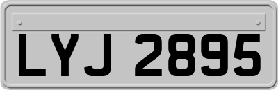 LYJ2895