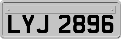 LYJ2896