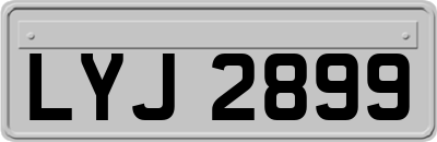 LYJ2899