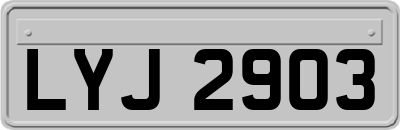 LYJ2903