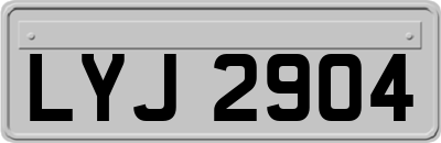 LYJ2904