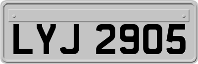LYJ2905