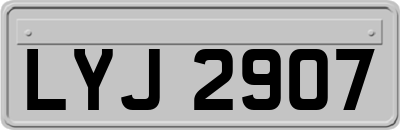 LYJ2907