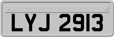 LYJ2913