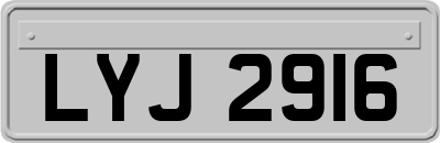 LYJ2916