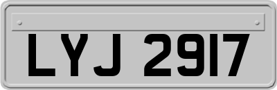 LYJ2917