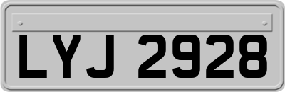 LYJ2928