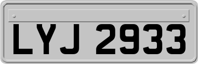 LYJ2933