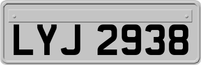 LYJ2938