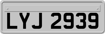 LYJ2939