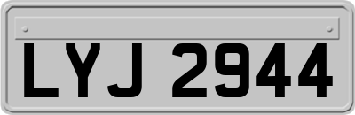 LYJ2944