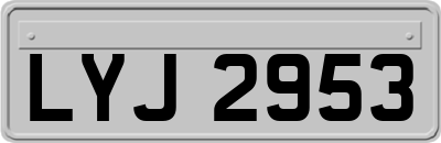 LYJ2953