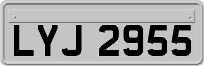 LYJ2955