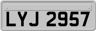 LYJ2957