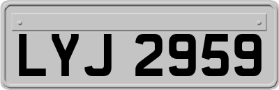 LYJ2959