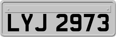 LYJ2973