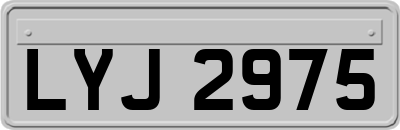 LYJ2975