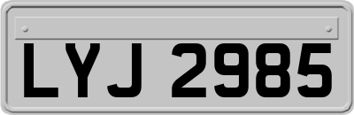 LYJ2985