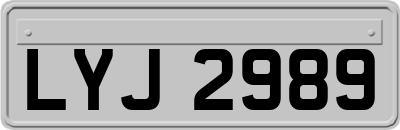 LYJ2989