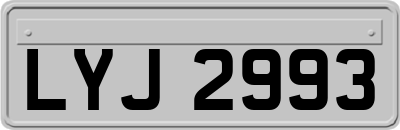 LYJ2993