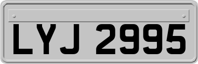 LYJ2995