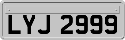 LYJ2999