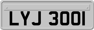 LYJ3001