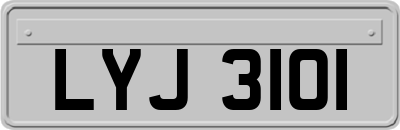 LYJ3101