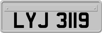 LYJ3119