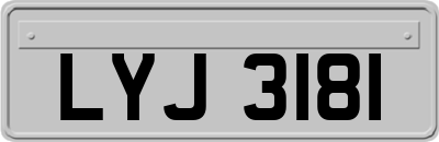 LYJ3181