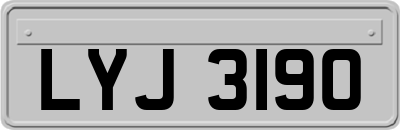 LYJ3190