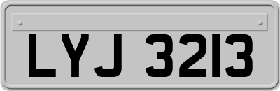 LYJ3213