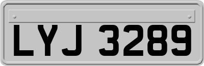LYJ3289