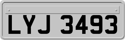 LYJ3493