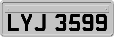 LYJ3599