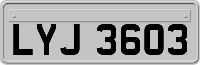 LYJ3603